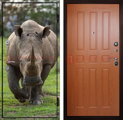 Металлическая дверь с фотопечатью носорога ДФ-31 в Воронеже