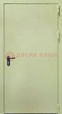 Светлая противопожарная дверь ДПП-22 в Воронеже